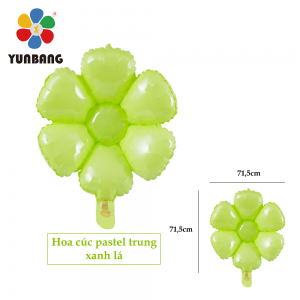HOA CÚC PASTEL TRUNG XANH LÁ